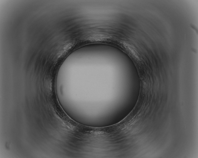 X0000091670539200709131530