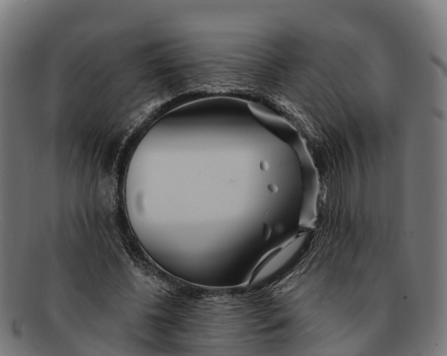 X0000091670540200709131530