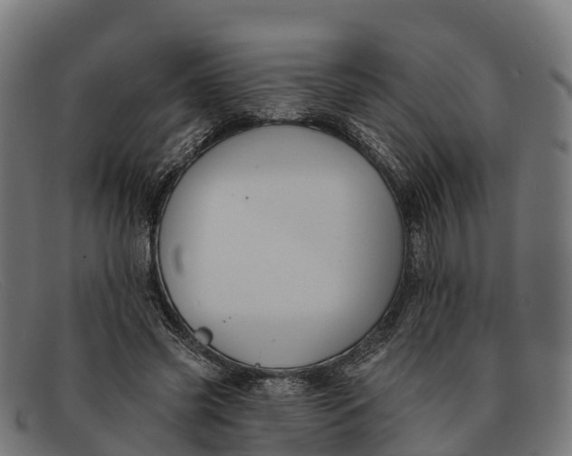 X0000091670541200709131530