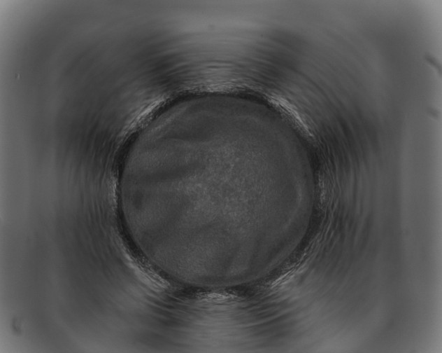 X0000091670542200709131530