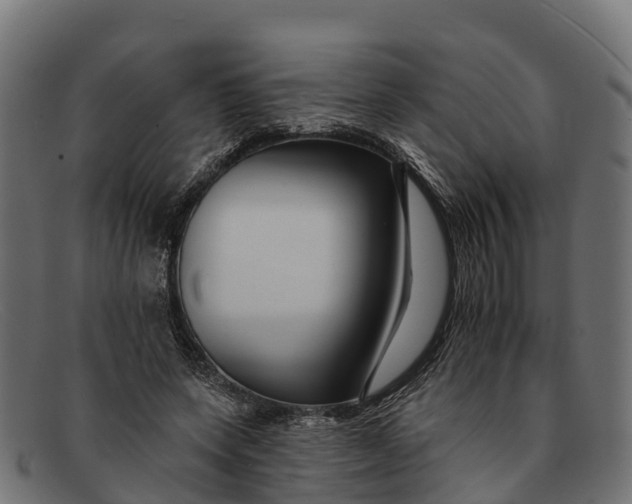 X0000091670543200709131530