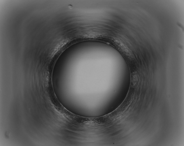 X0000091670544200709131530