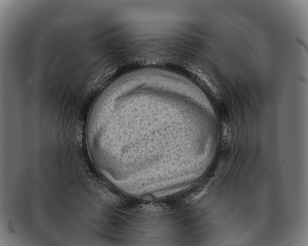 X0000091670545200709131530