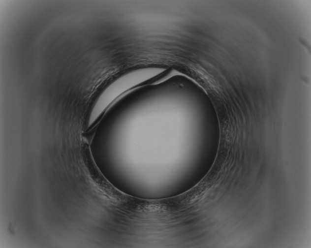 X0000091670546200709131530