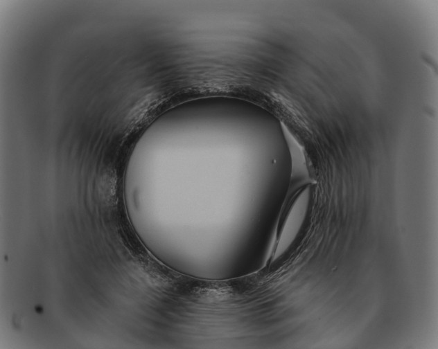 X0000091670548200709131530