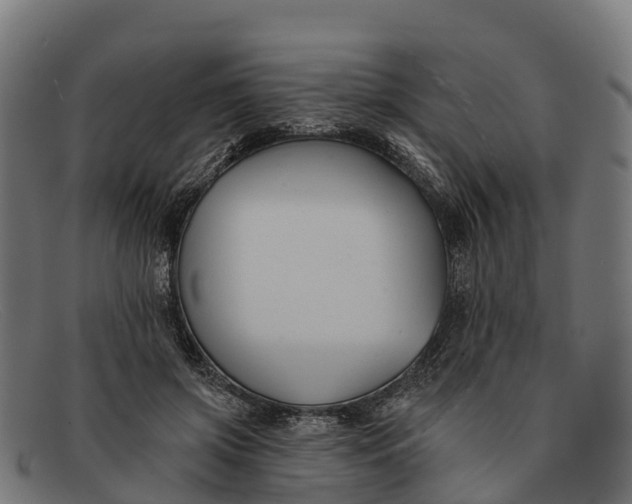 X0000091670549200709131530