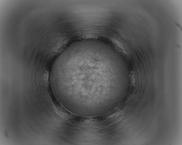 X0000091670550200709131530