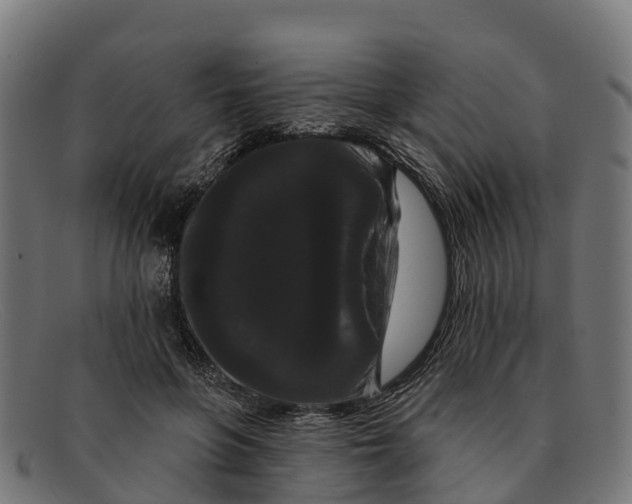 X0000091670551200709131530