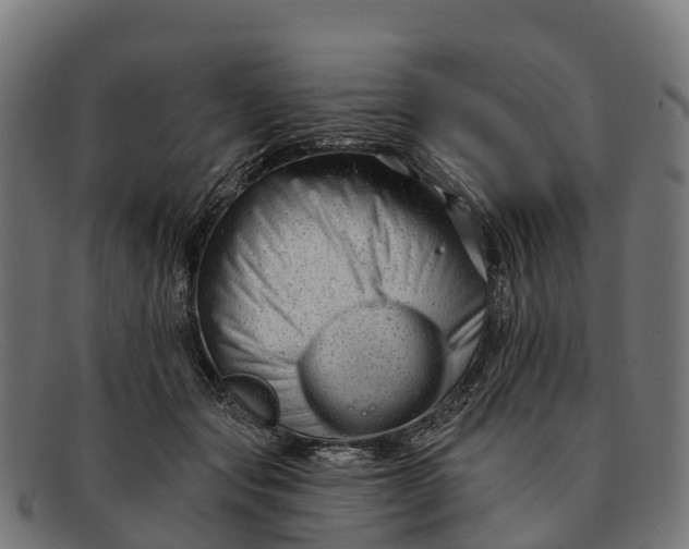 X0000091670557200709131530