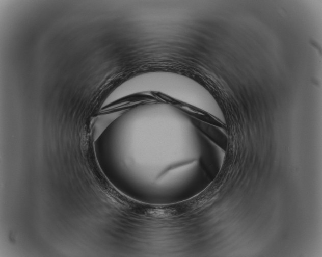 X0000091670558200709131530