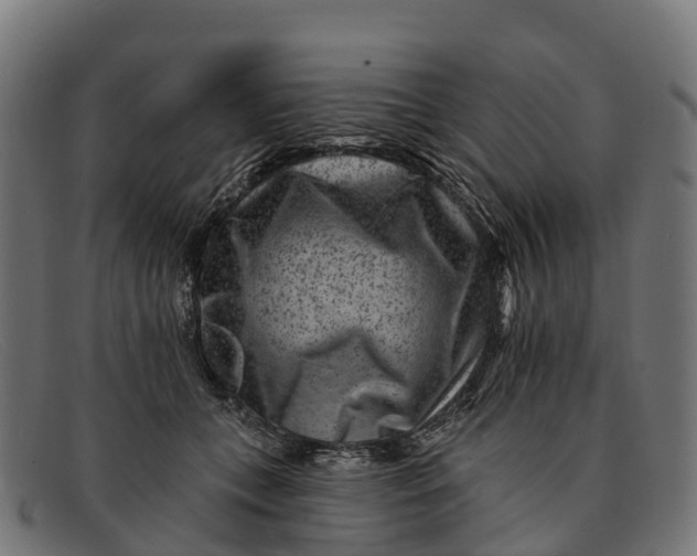 X0000091670559200709131530