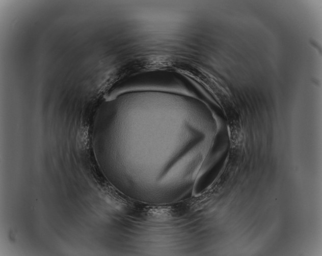 X0000091670560200709131530