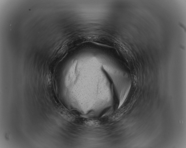 X0000091670561200709131530