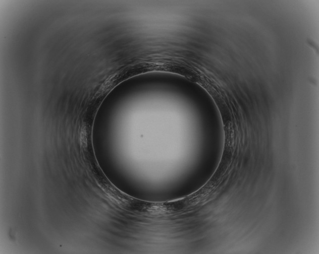 X0000091670562200709131530