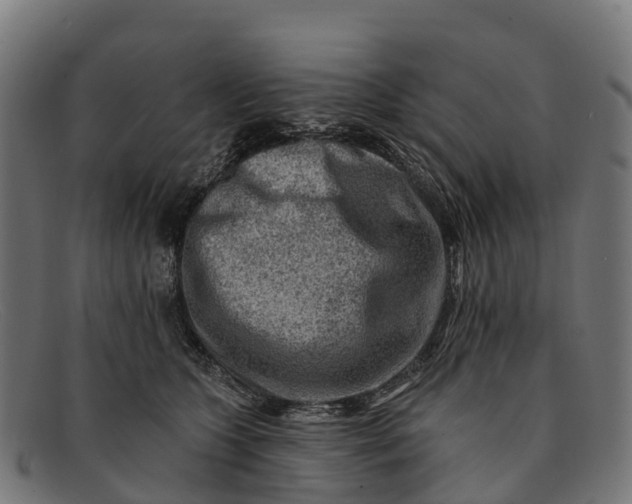 X0000091670563200709131530