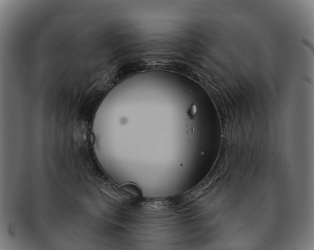 X0000091670567200709131531