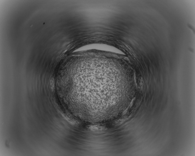 X0000091670568200709131531