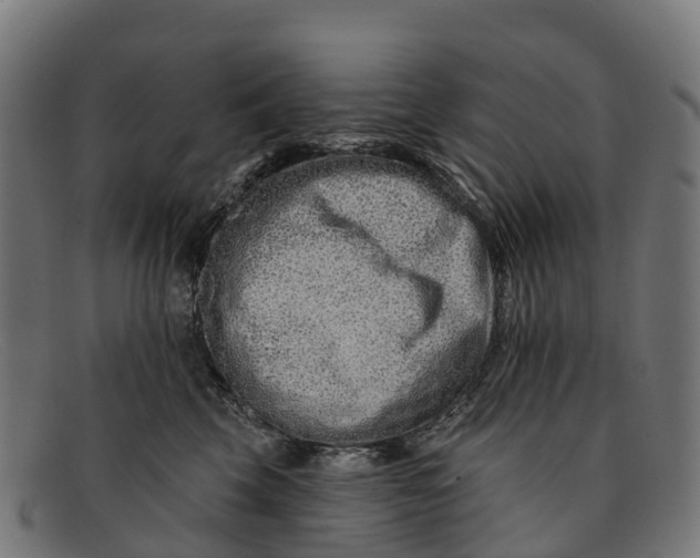 X0000091670569200709131531