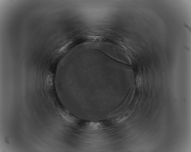 X0000091670570200709131531