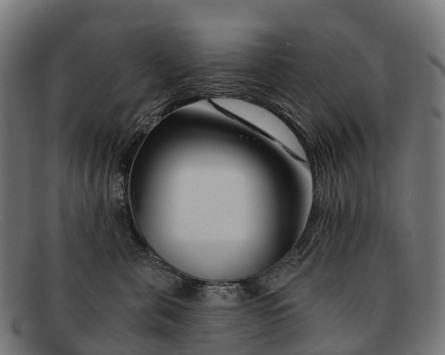 X0000091670571200709131531