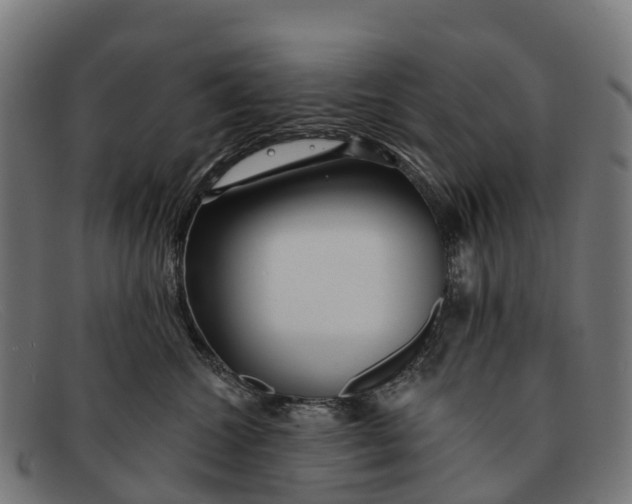 X0000091670572200709131531