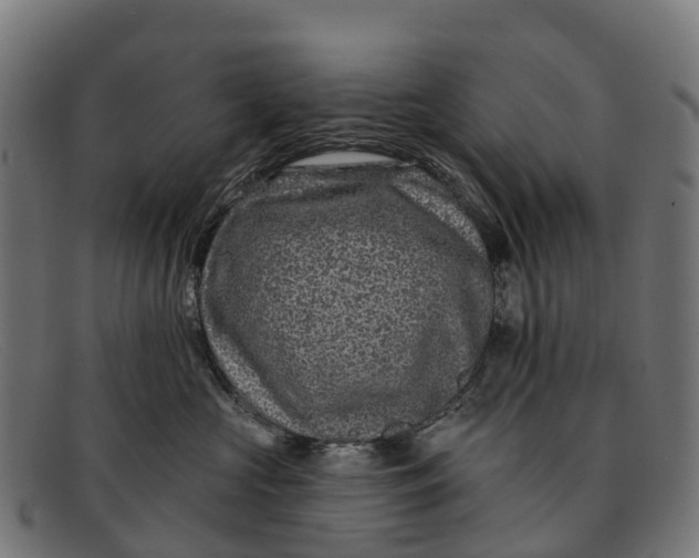 X0000091670573200709131531