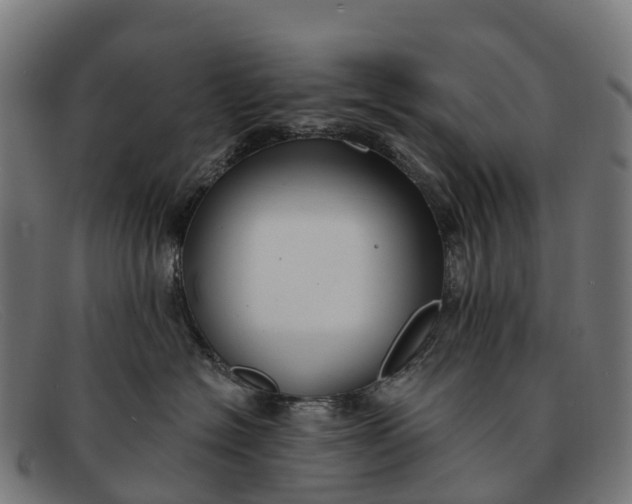 X0000091670574200709131531