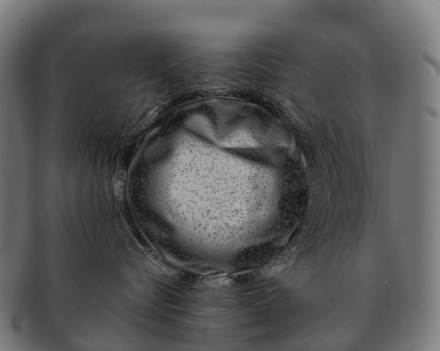 X0000091670576200709131531