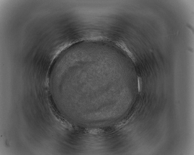 X0000091670579200709131530