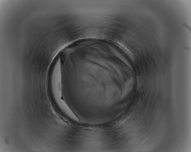 X0000091670580200709131530