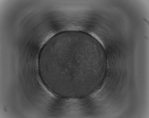 X0000091670581200709131530