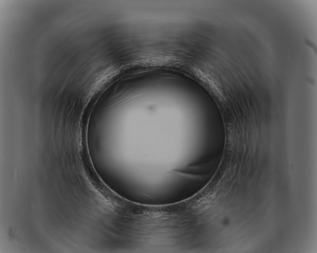 X0000091670582200709131530