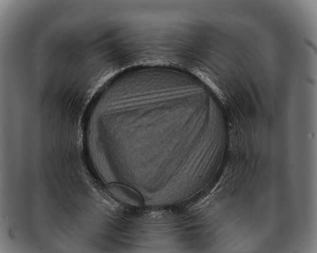 X0000091670584200709131530