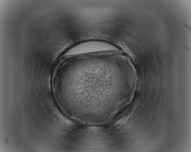 X0000091670585200709131530