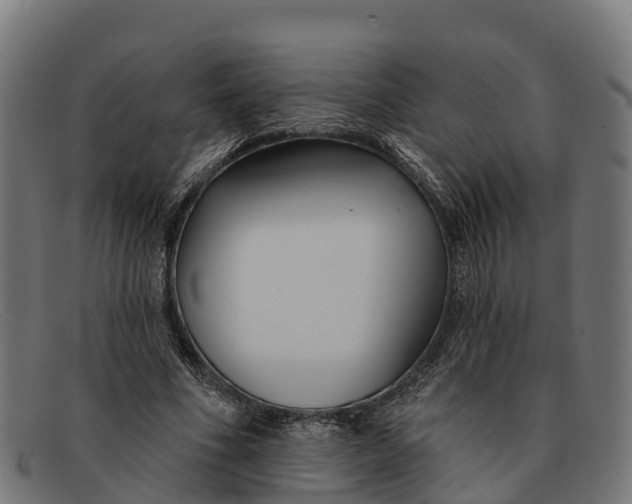 X0000091670586200709131530