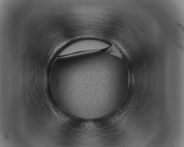 X0000091670588200709131530