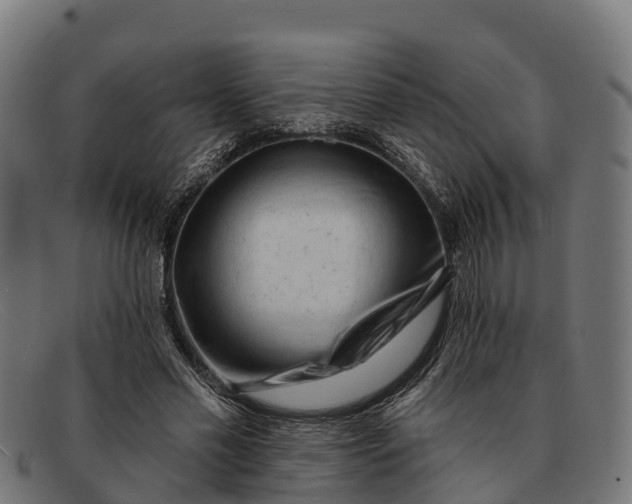 X0000091670589200709131530