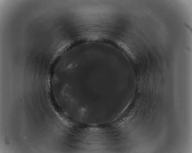 X0000091670590200709131530