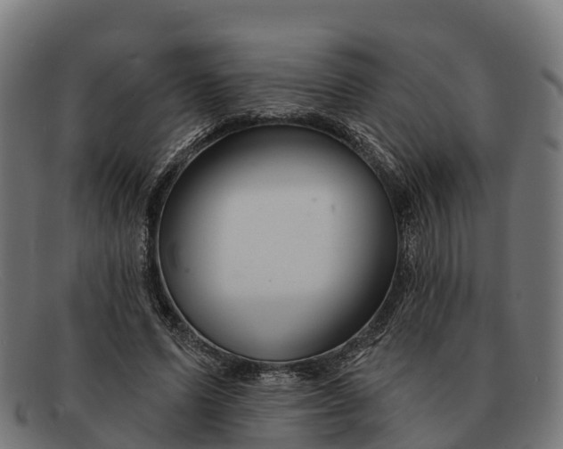 X0000091670591200709131530