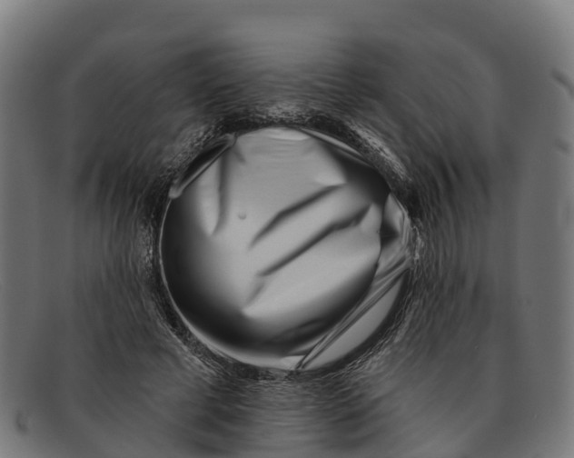 X0000091670593200709131530