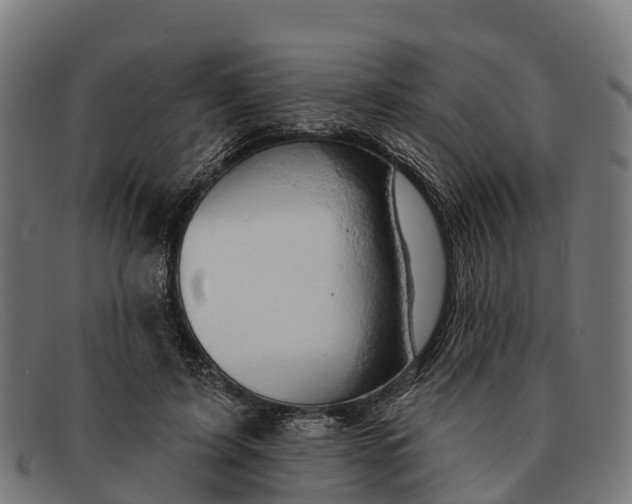 X0000091670595200709131530