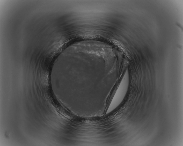 X0000091670596200709131530