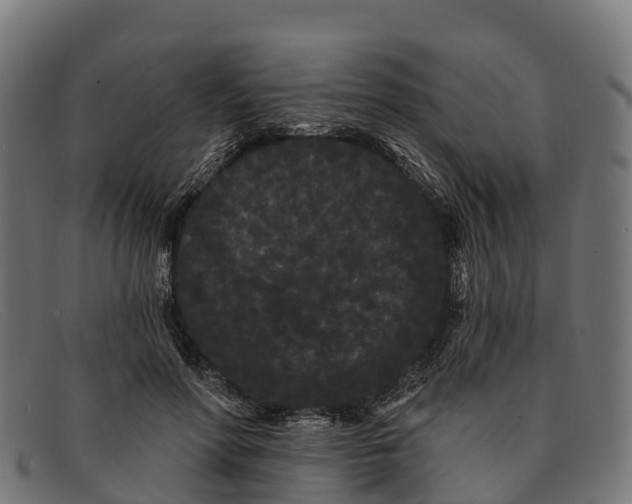 X0000091670598200709131530