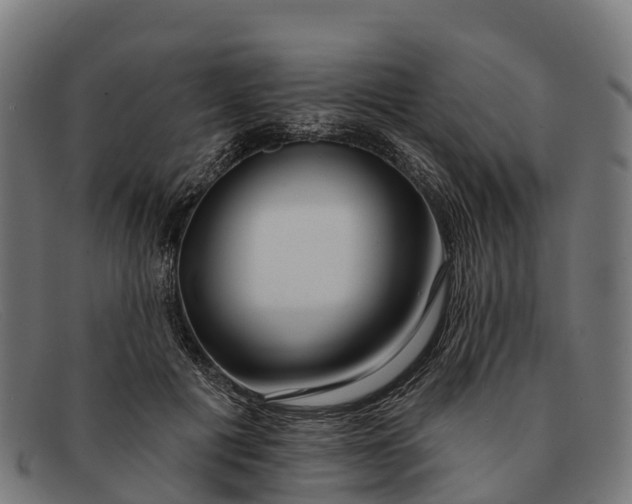 X0000091670601200709131530