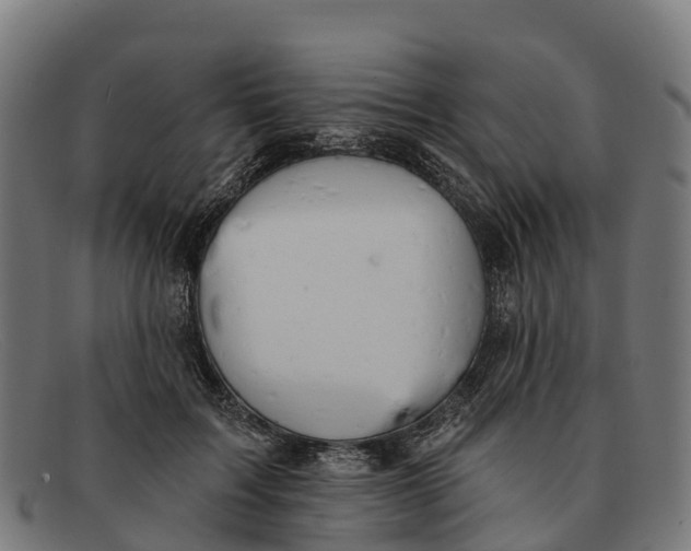 X0000091670603200709131530