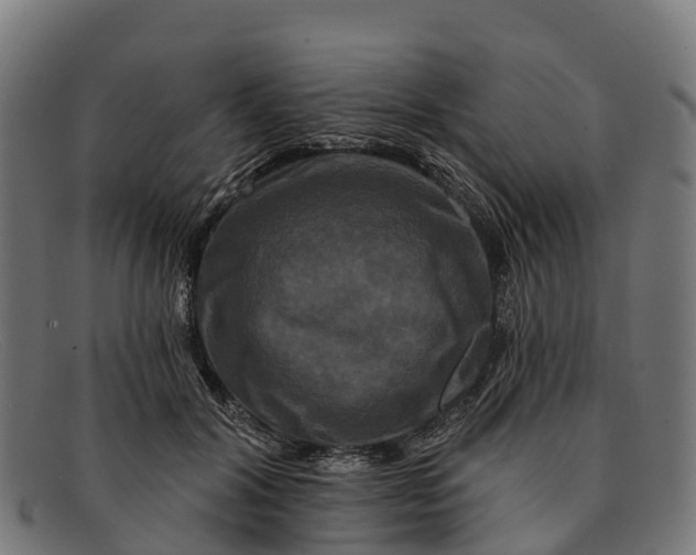 X0000091670604200709131530