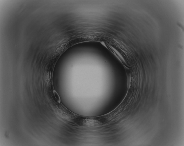 X0000091670605200709131530