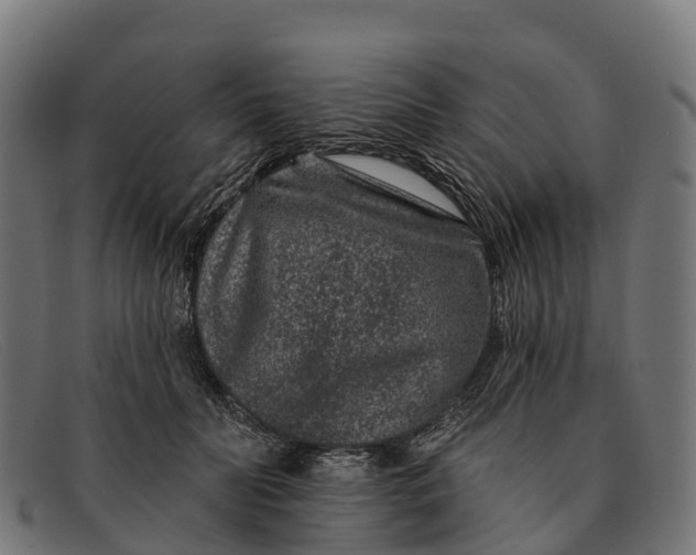 X0000091670606200709131530