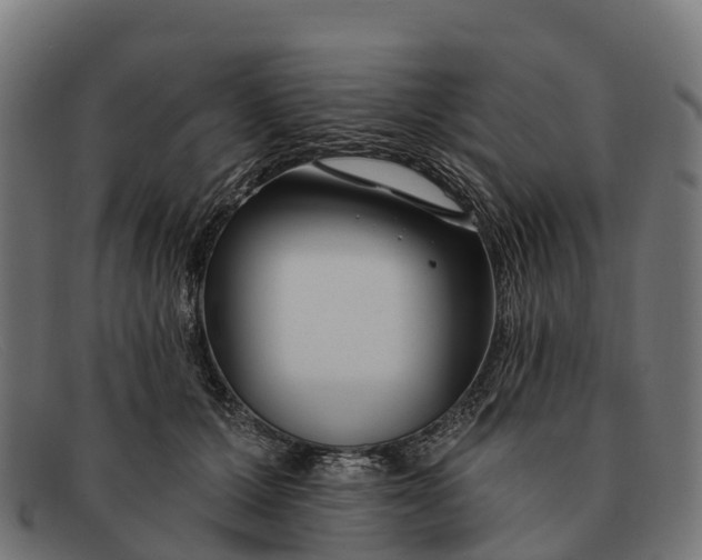 X0000091670607200709131530