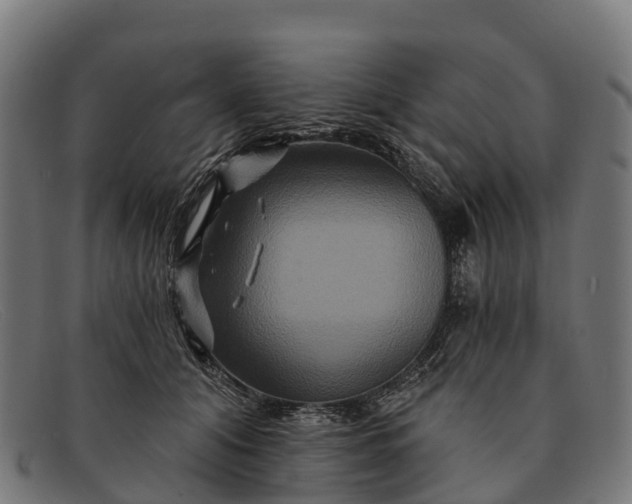 X0000091670608200709131530